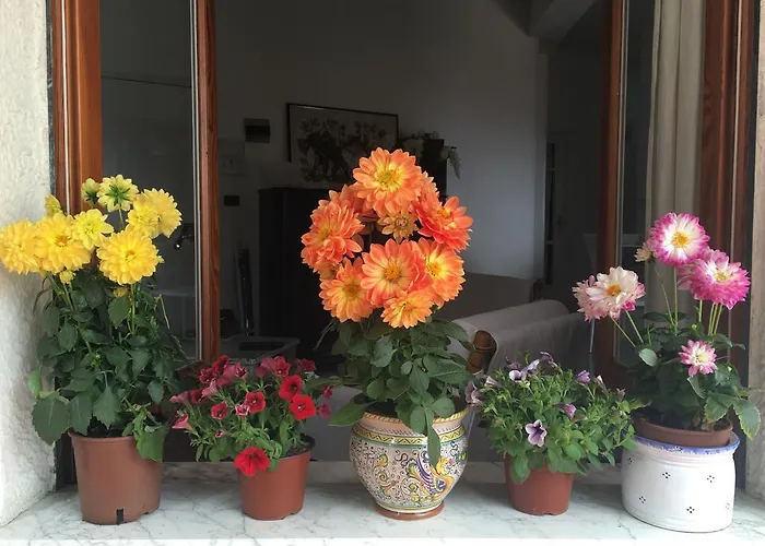 Holiday home La Maison Doree