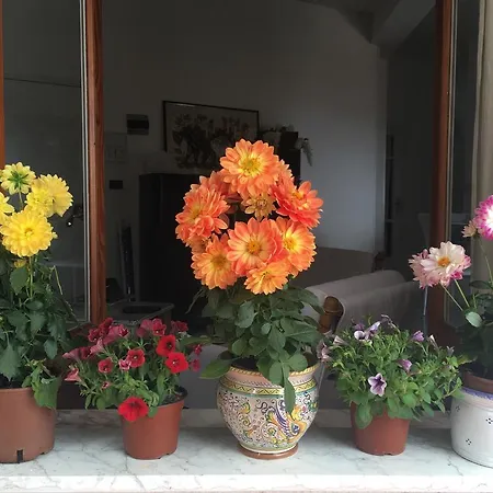 Сasa de vacaciones La Maison Dorée